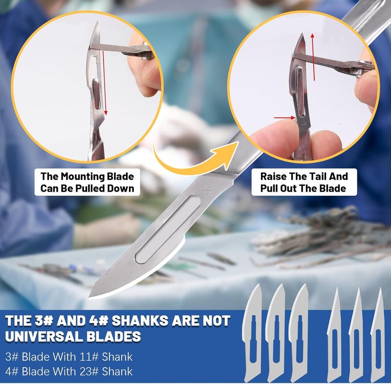 Glarks 44Pcs Surgical Grade Blade with Handle Kit, 40Pcs #11#23 Disposable Surgical Blade Sterile Scalpel Blade with 4Pcs #3#4 Scalpel Knife Handle Set for Biology Lab Anatomy, Practicing Cutting - Image 4